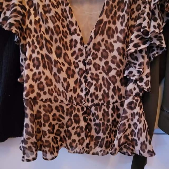 Quality Shirts - Picture 5 of 10